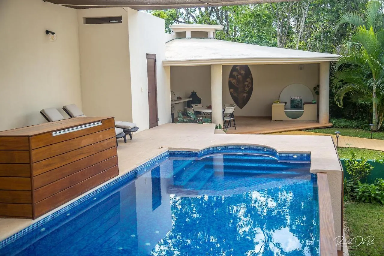 Homestay Azcapri Villa Boutique & Spa #2 Delfin