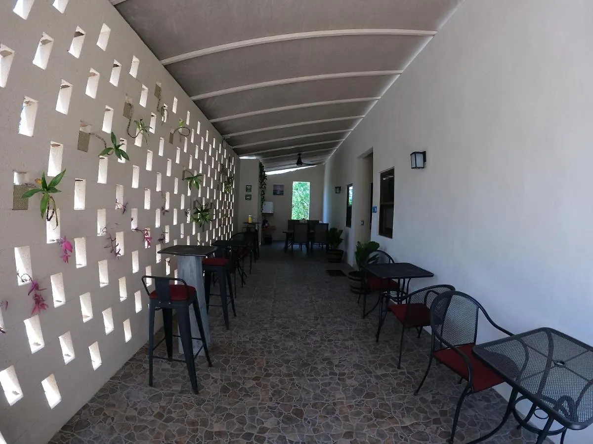 Homestay Azcapri Villa Boutique & Spa #2 Delfin